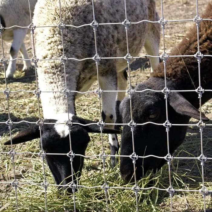 Haute clôture pour chèvres / bovins / clôture à joint articulé / clôture à nœud fixe / clôture de champ / clôture agricole / clôture pour animaux / clôture pour cerfs / clôture pour moutons / clôture rigide.