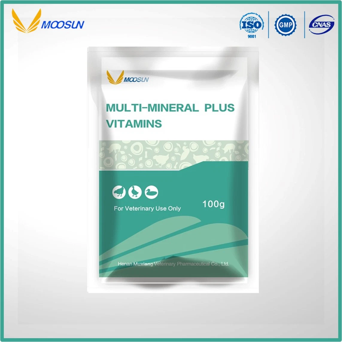 GMP Factory Feed Additives Multivitamins Plus Herbal Extracts for Animals Use with ISO