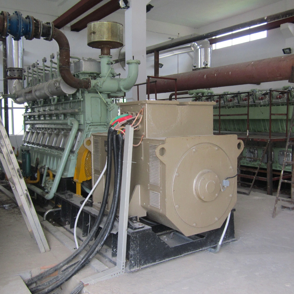 300kw/ 500kw/ 800kw Palm Kernel Shell Straw Husk Biomass Gas Generator