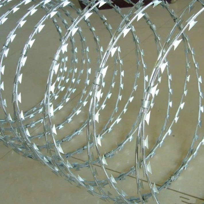 Concertina Barbed Tape Wire for Security and Protection