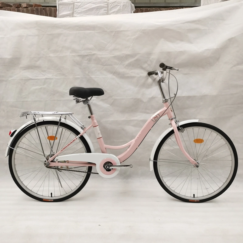 24*16 Inch Steel City Bike for Lady