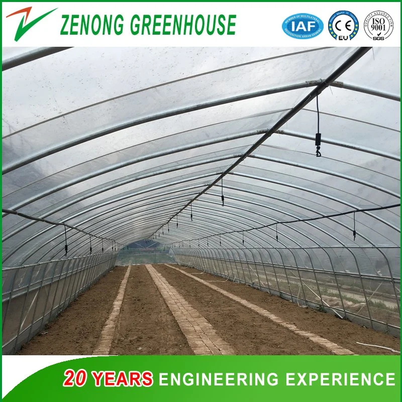 Easy Operation Small Size Single Span Po/PE/EVA Film Green House for Gardening/Hydroponics/Hotel Vegetable Cultivation