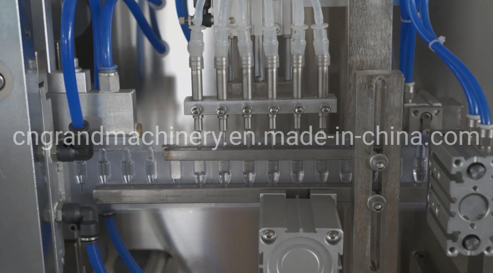 Plastic Ampoule Forming and Filling Machine /Blister Sample Shape Can Be Customized Free Drawings Are Provided Ggs-118 (P5)