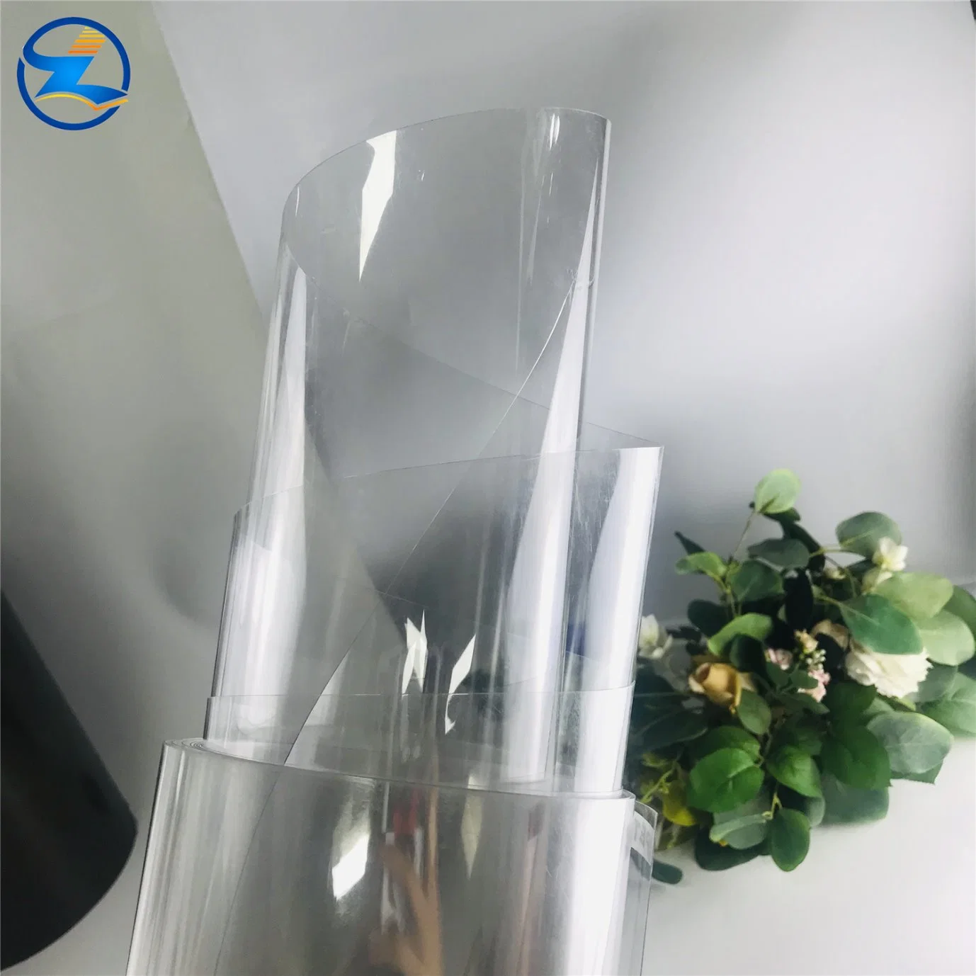 Pet Plastic Films Rolls Rigid Sheets for Fruit Container Package