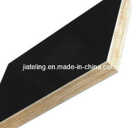 Concrete Formwork, Construction Plywood with Black Film (1220X2440)