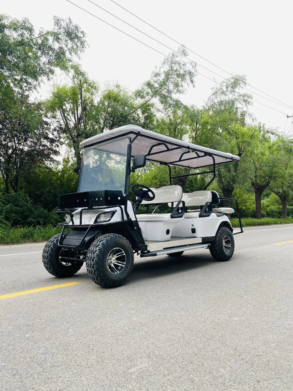 48V 60V Electric Vehicle with Roof Golf Cart with Competitive Price with Flip Down Rear Seat