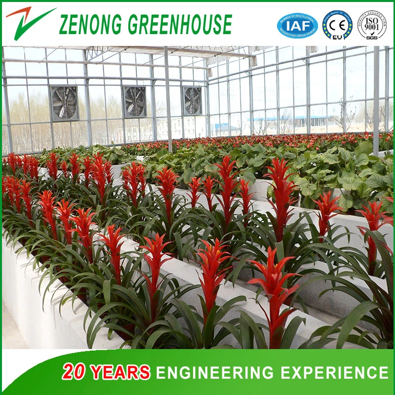 Beautiful Glass Greenhouse with Cooling System for Elegant Flower Cultivation/Commercial/Agricultrual Usage