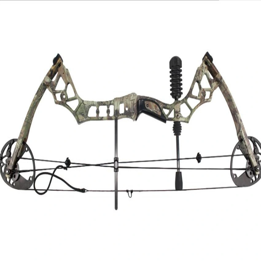 Mini Carbon Fiber Archery Compound Bow Set