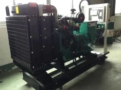 20kw 30kw 40kw 50kw LNG Gas Biogas Generator Generator Gas Natural