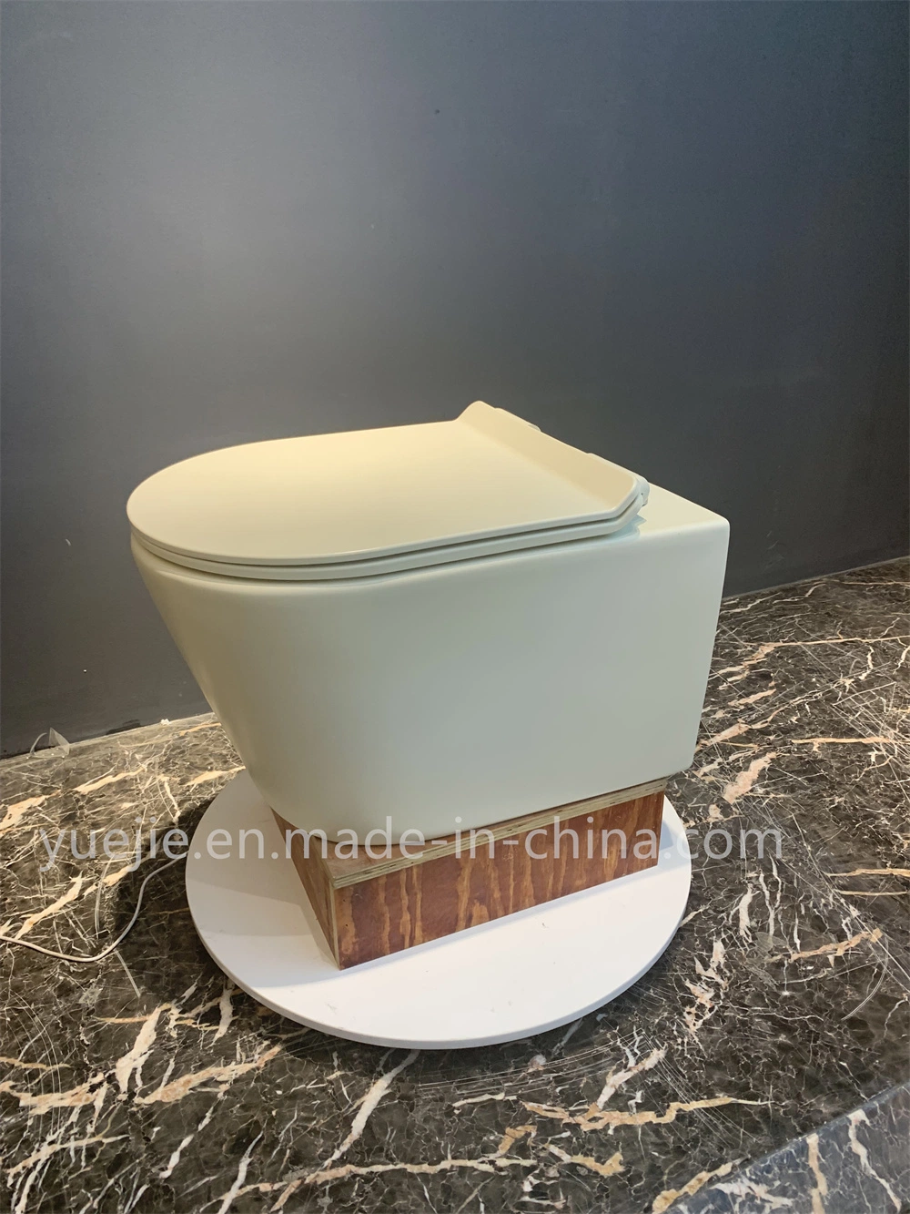 Wholesale/Supplier Modern Hotel Wall-Hung Rimless Wall Mounted Row Toilet Bowl Ceramic Bathroom Matt Color Wall Hung Toilet Set