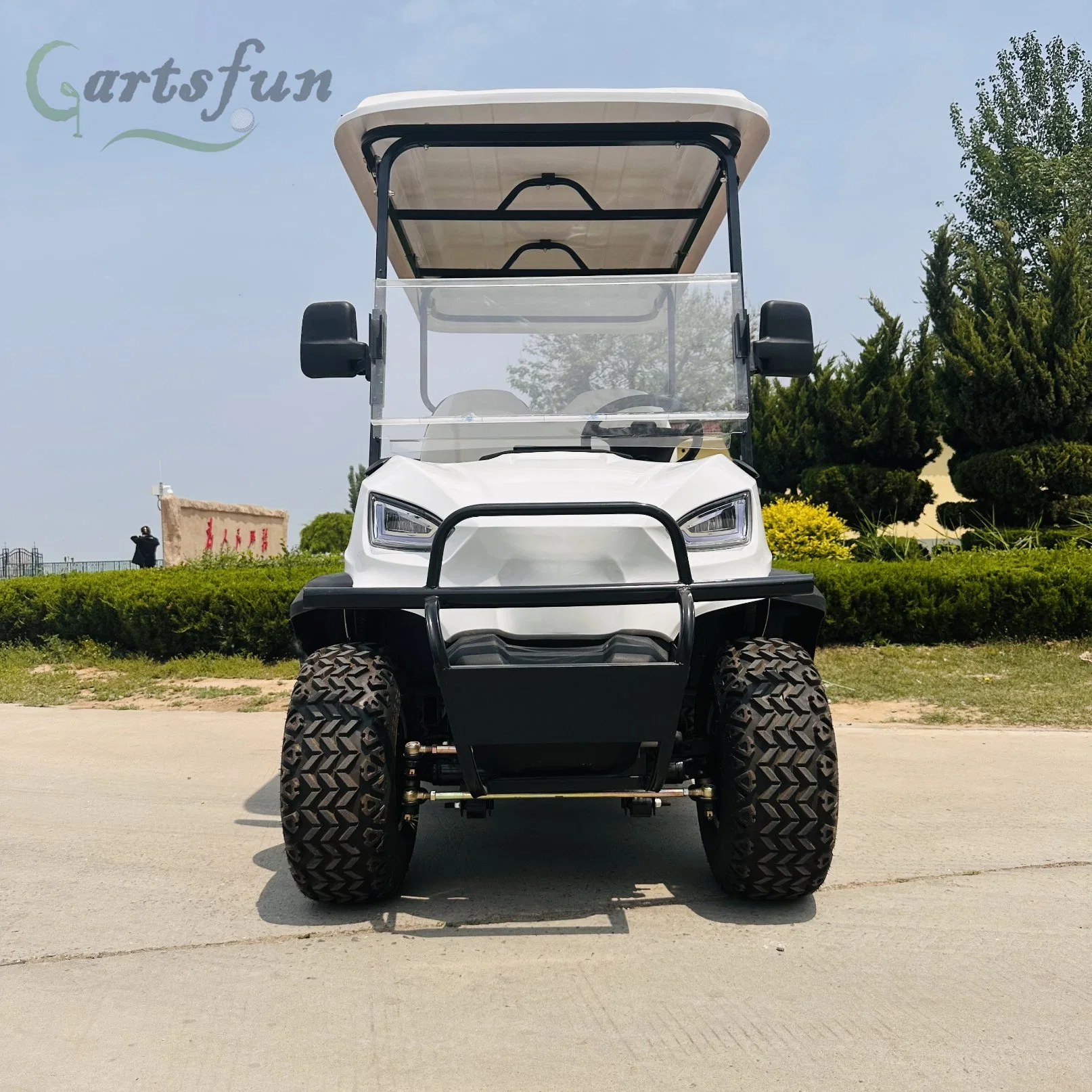 100 km chumbo ácido/bateria de lítio Carro de golfe eléctrico