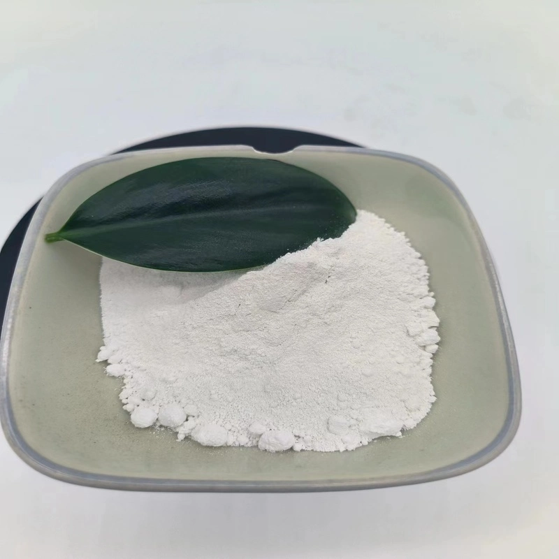 Qualité d'alimentation 99.7% caoutchouc pigment chimique Nano Active zinc Oxyde
