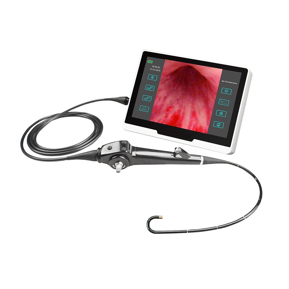 LTEF24B Hospital HD Image Bladder Kidney Examination Flexible Video Cystonephroscope