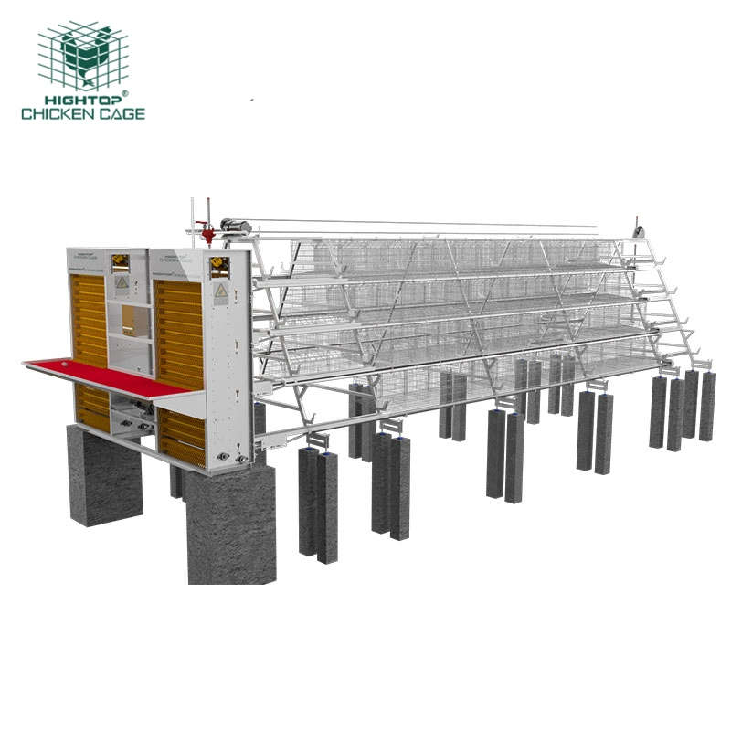 Hightop Turnkey Solutions A Type Automatic Poultry Laying  Hens Egg Layer  Battery Chicken Cages