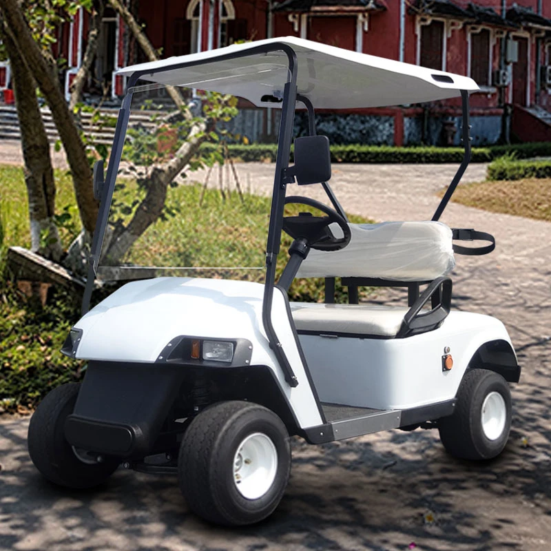 Fancy Luxury 1+1 2 Seaters Electric Golf Cart Price for Golf Course Hotel Beach Factory Zone All Terrain Coastal Community Hunting Dormitory Transportation