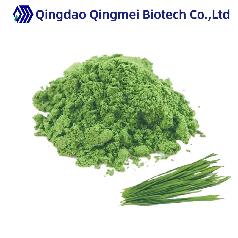 Water Soluble Wholesale/Supplier Price 200 Mesh Organic Green Barley Grass Powder