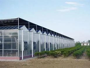 Intelligent Multi Span Poly Carbonate Sheet Greenhouse for Planting