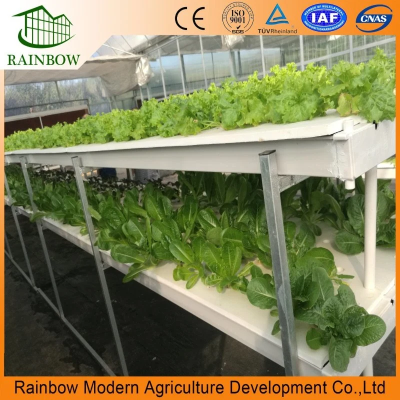 Agricultural Multi Span Poly Film Tunnel Greenhouse with Hydroponics Planting System for Tomato Pepper Lettuce Strawberry Vegetables Flowers