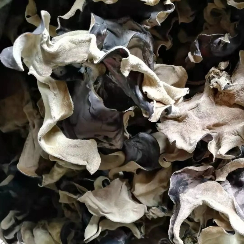 Dried Mushroom White Back, Mu Err Black Fungus