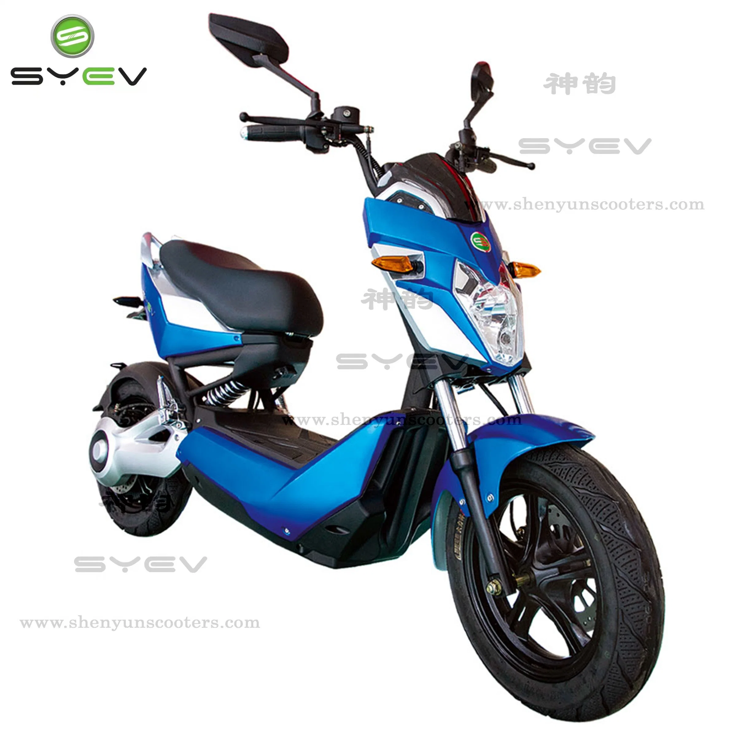 China Wholesales 2022 Nuevo Modelo Ecorider 1500W de 12 pulgadas de largo alcance de la carretera Ciudad de dos ruedas Scooter con neumáticos de la grasa de la montaña no abatible Dirt Bike eléctrica