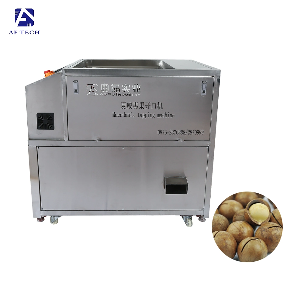 Snack Food Processing Plant Macadamia Nut Opening Crackers Tapping Machine