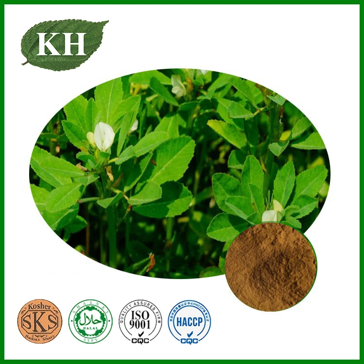 Fenugreek Seed Extract, Fenugreek Saponins 50%, Furostanol Saponins 50%