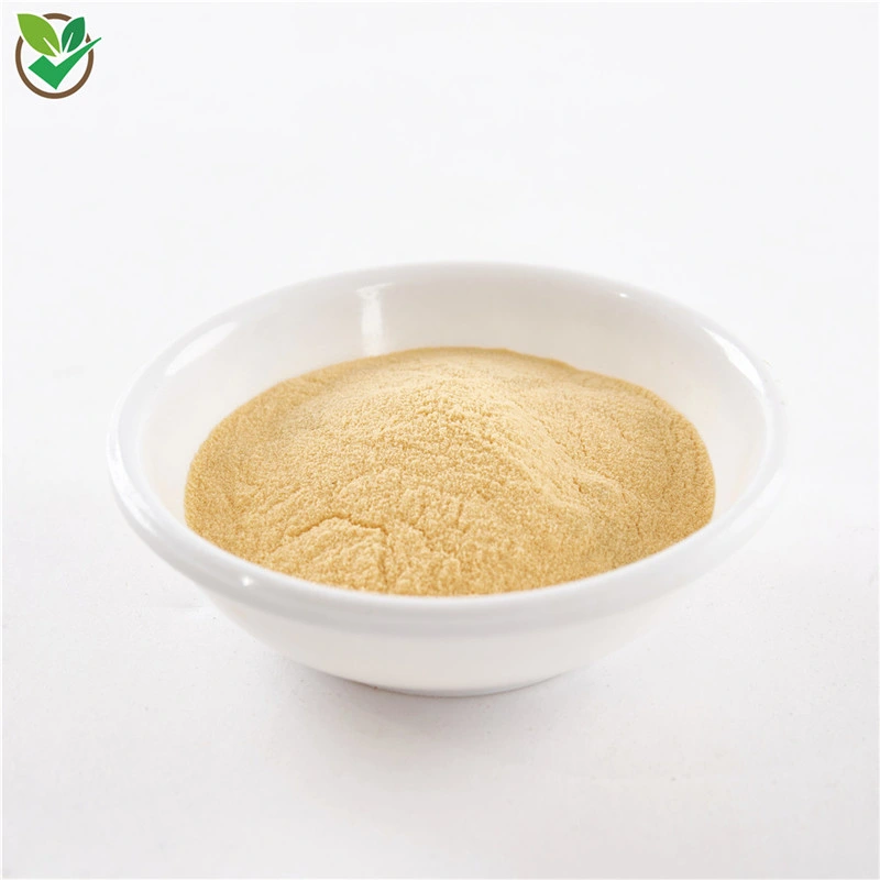 Natural Organic Mango Juice Powder Juice Mango Fruit Powder Mango