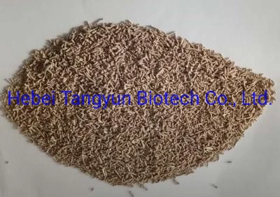 Herbicide Weed Control Thifensulfuron-Methyl 75% Wdg