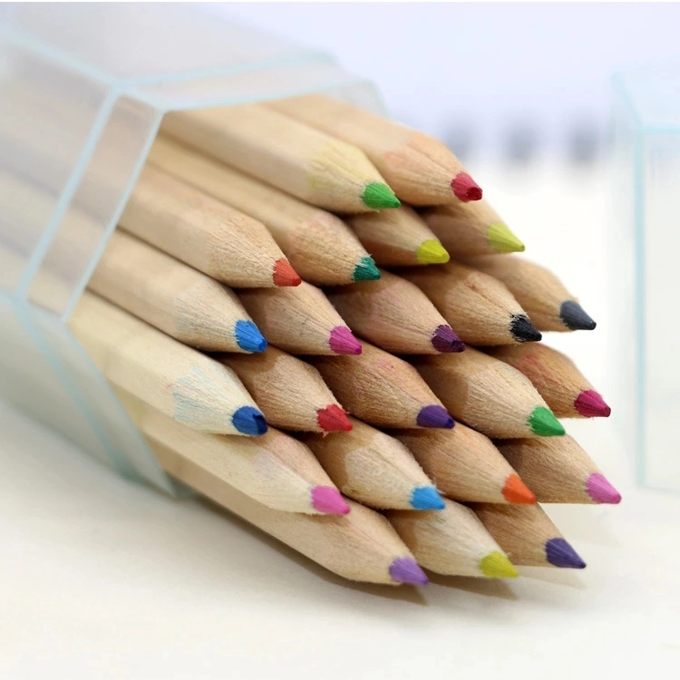 Log Color Water Soluble Core Multicolor Pencil Box Stationery