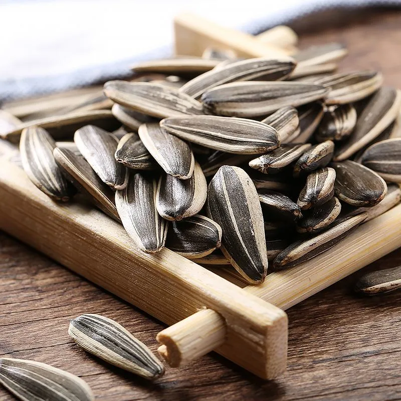 Crispy Roasted and Salted Sunflower Seeds with Skin Nature and Healthy