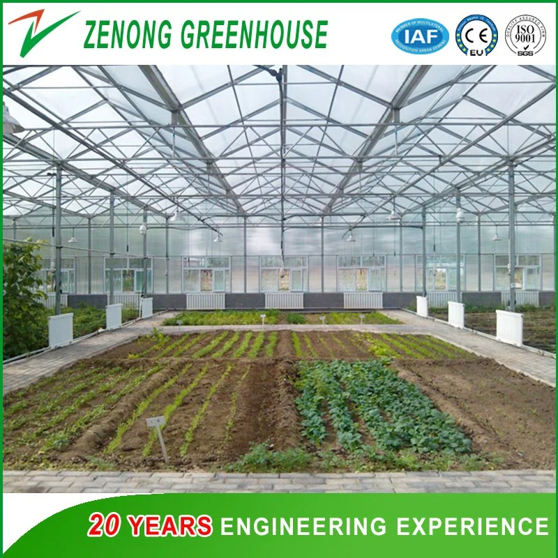 Customized High Quality Gutter Connected Polycarbonate Green House for Sale