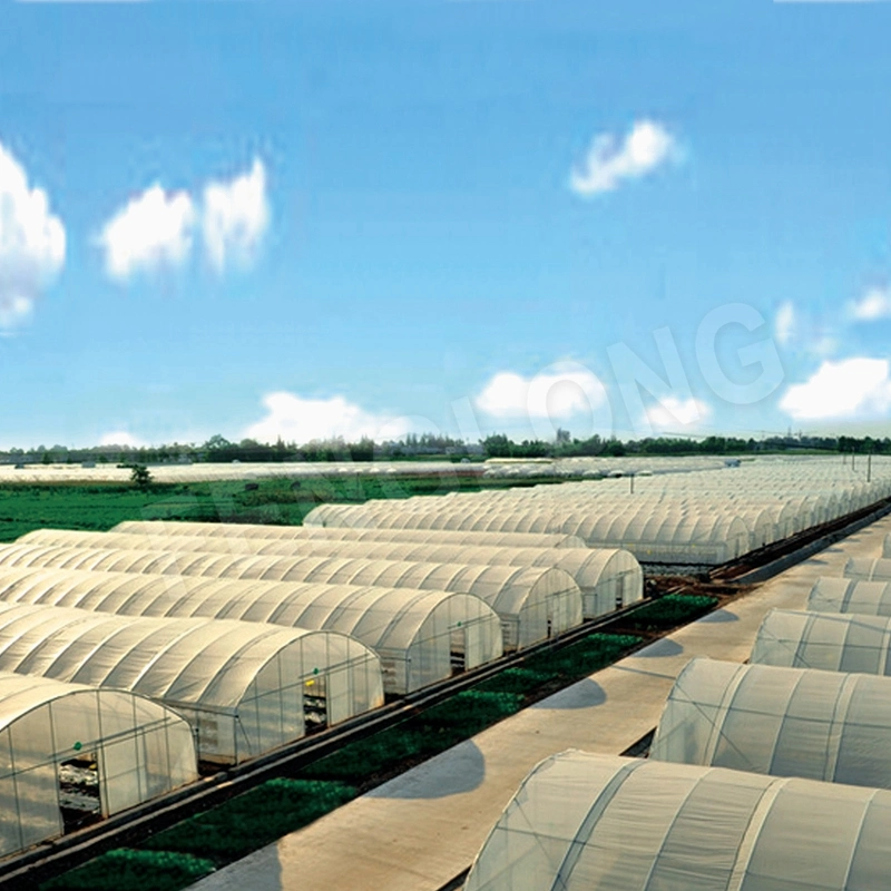 Vensovo Farm Clear Greenhouse Covering - 26X40 FT Anti-Fog Films Green House 6 Mil Plastic Polyethylene Film