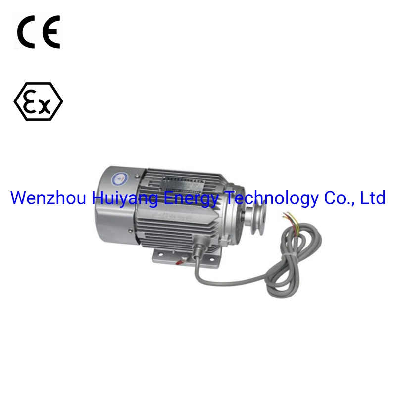 Explosion Proof 220V Iron Motor for Fuel Dispenser