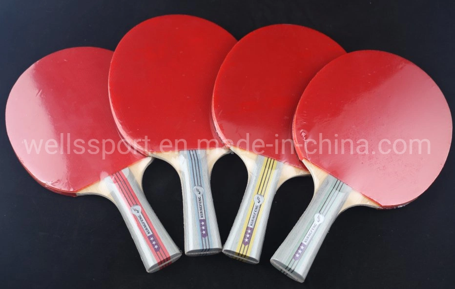 Raqueta de Tenis de Mesa de FSC establece Pingpong Juego Bat 4 murciélagos 6 bolas con Portable Net