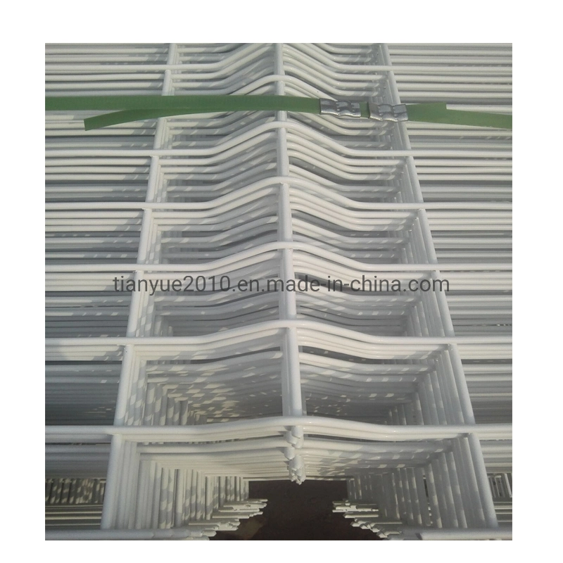 China Manufacture Building Material Electro Galvanized Welded Wire Mesh (TYB-0074)