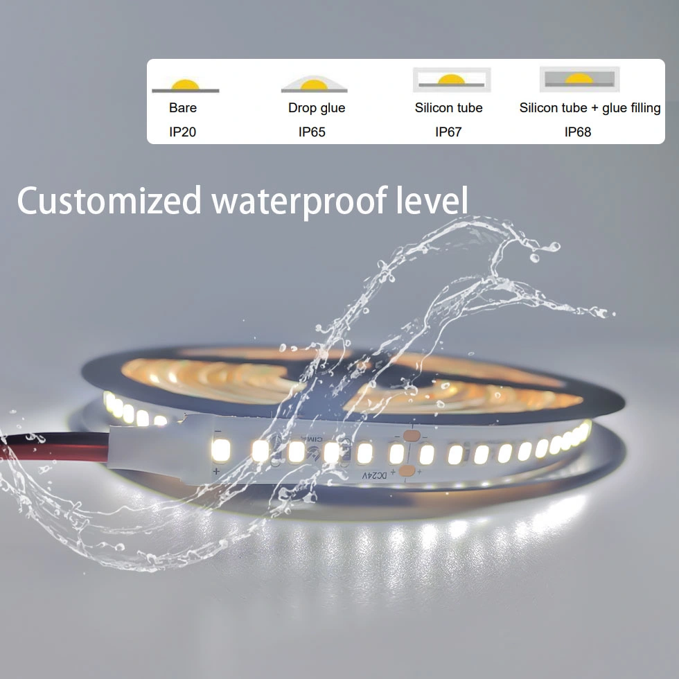 Faixa LED CE RoHS 24V 3 anos Garantia 5m/rolo Tiras de luz LED de 10 mmpcb 12 W 5050 2835