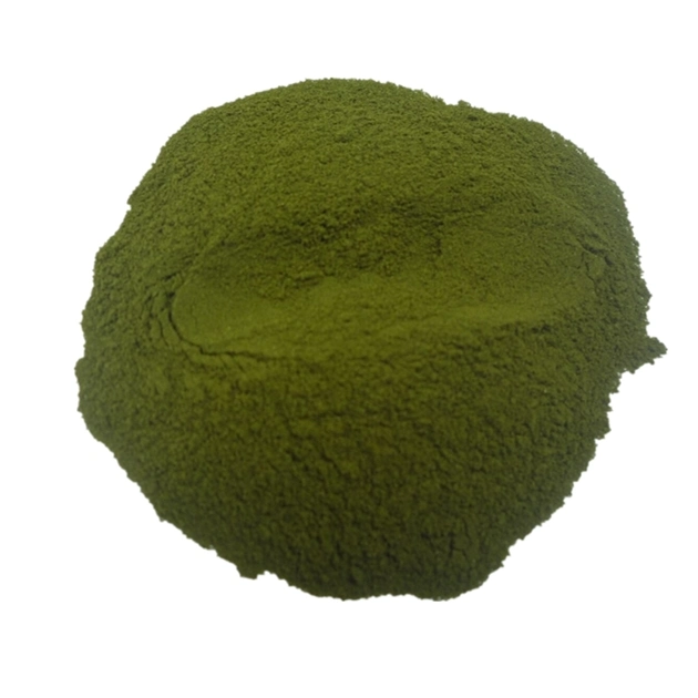 Competitive Price Wheat Grass Powder/ Wheat Grass Juice Powder