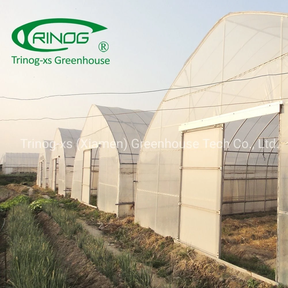 Trinog greenhouse 6*20m 200um film agriculture greenhouse cover film for planting