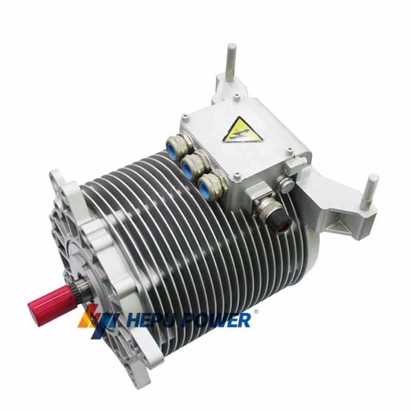 45kw Permanent Magnet Motor for Compact Pure Electric Vehicle