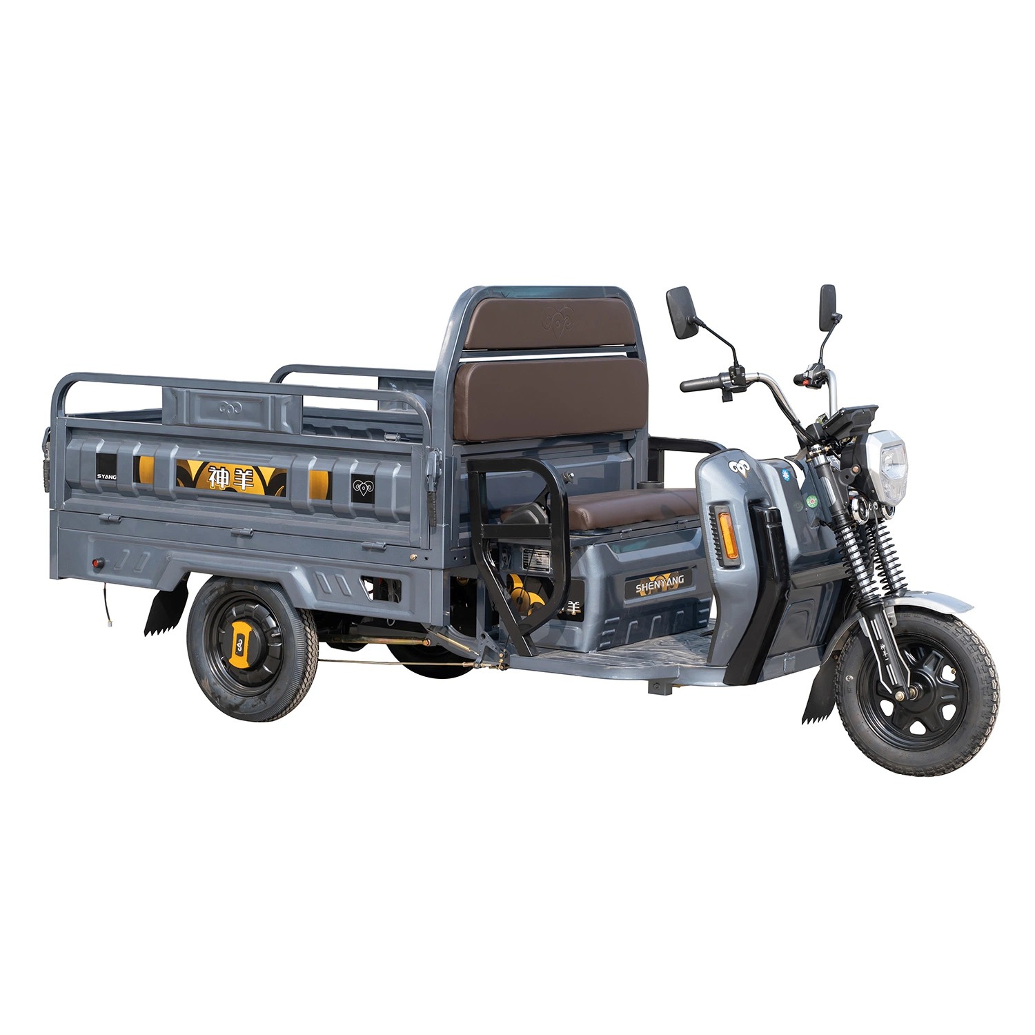 1000W грузовой электрический Trike продажи с возможностью горячей замены