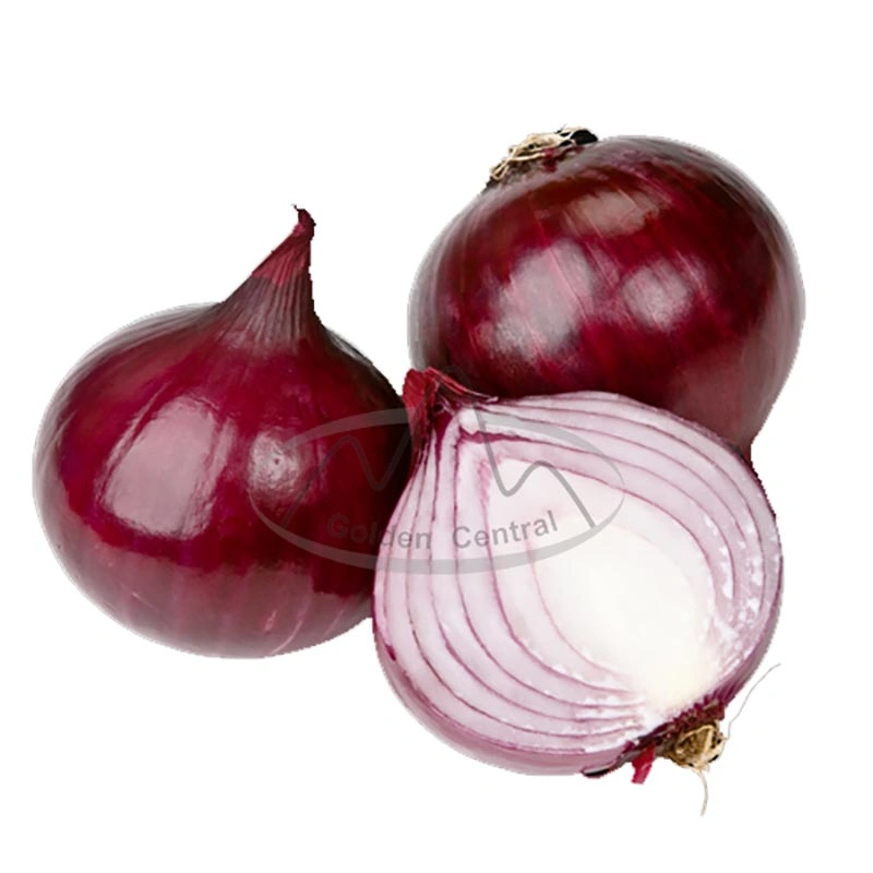 سعر الجملة 100 ٪ الأحمر الطبيعي Onion لسوق فيتنام