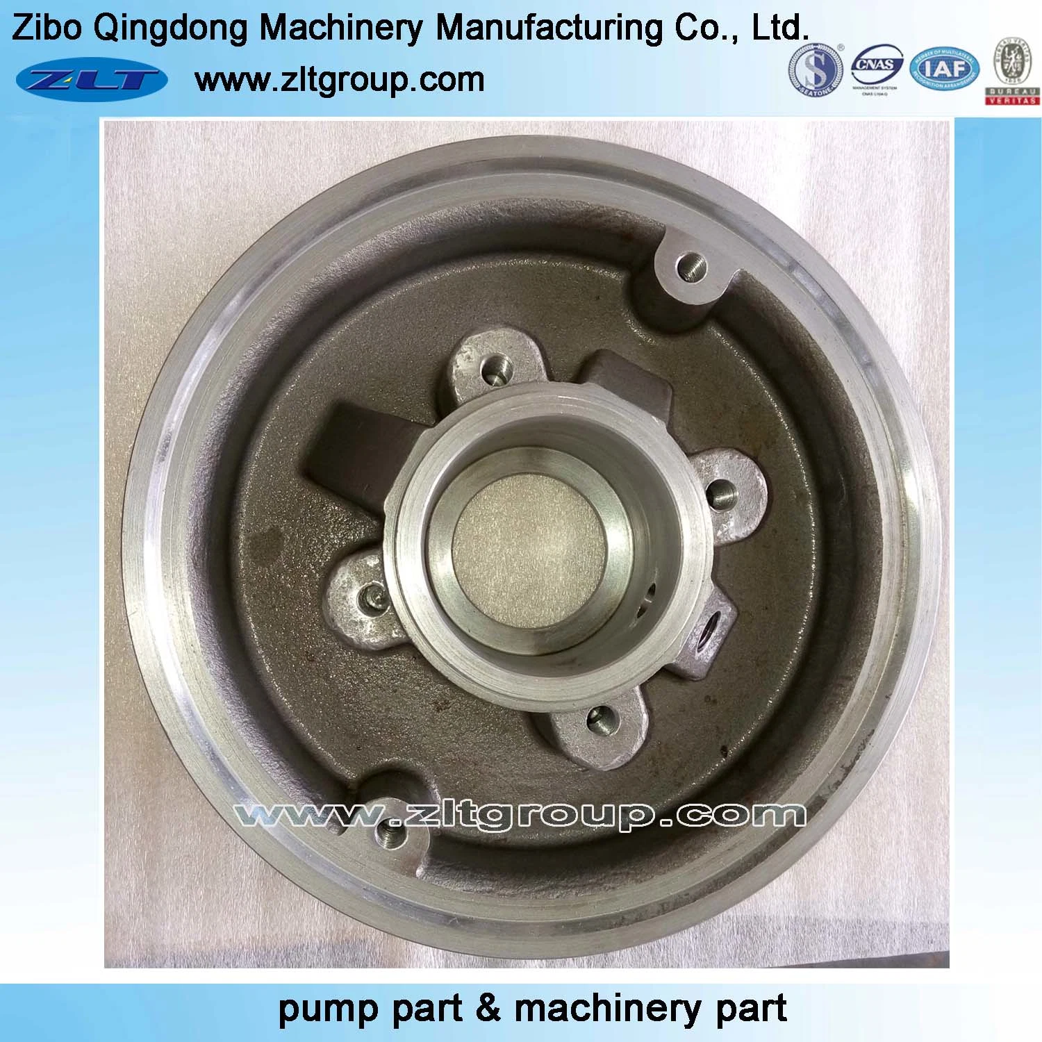 Centrifugal Chemical ANSI Process Zlt Mark III Pump Stuffing Box Cover in Titanium Alloy/Stainless Steel