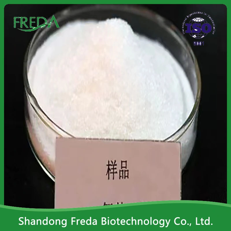 Bulk Beta Aminobutyric Acid Powder CAS 56-12-2 Gama-Aminobutyric Acid