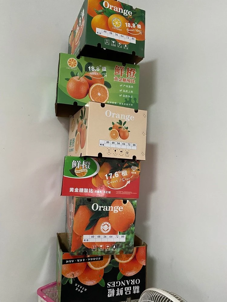 Chinese Fresh Navel Orange From Factory Direct Sale