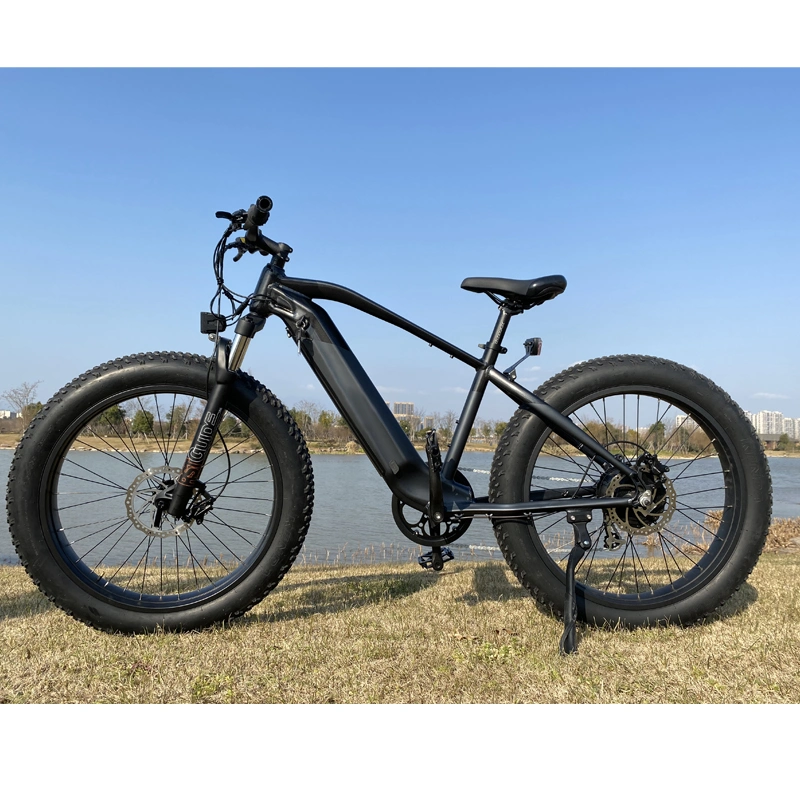 La parte superior del Amazonas Venta de 750W potente neumático Fat Bicicleta eléctrica