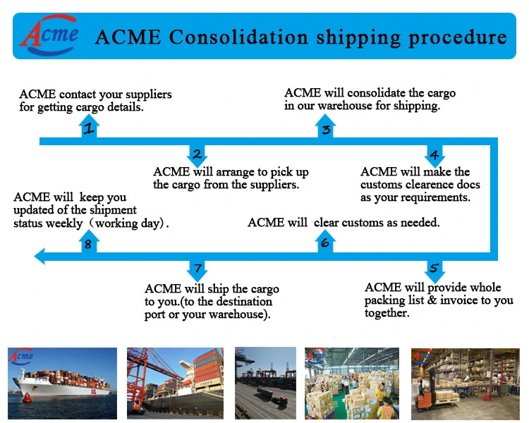 Agente de Transporte marítimo de mercancías desde China a Rusia DDP, DDU, EXW Logistics Services