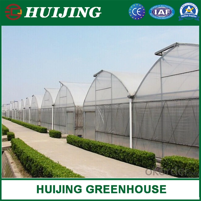 Gothic Butterfly Vent Film Covering Greenhouse with Insect Net