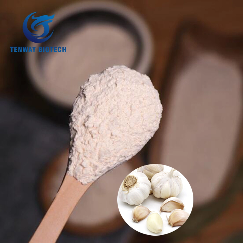 China Supplier Wholesale/Supplier Food Ingredient Spray Dried Garlic Extract Powder/Gruanlar/Minced