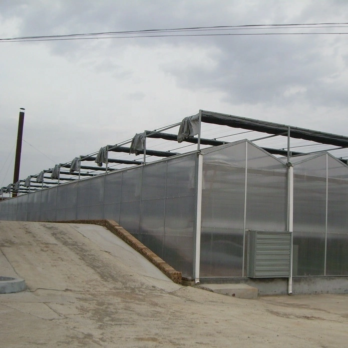 Flower/Fruit/Vegetables Growing Polycarbonate Sheet Greenhouse with Sunshade System