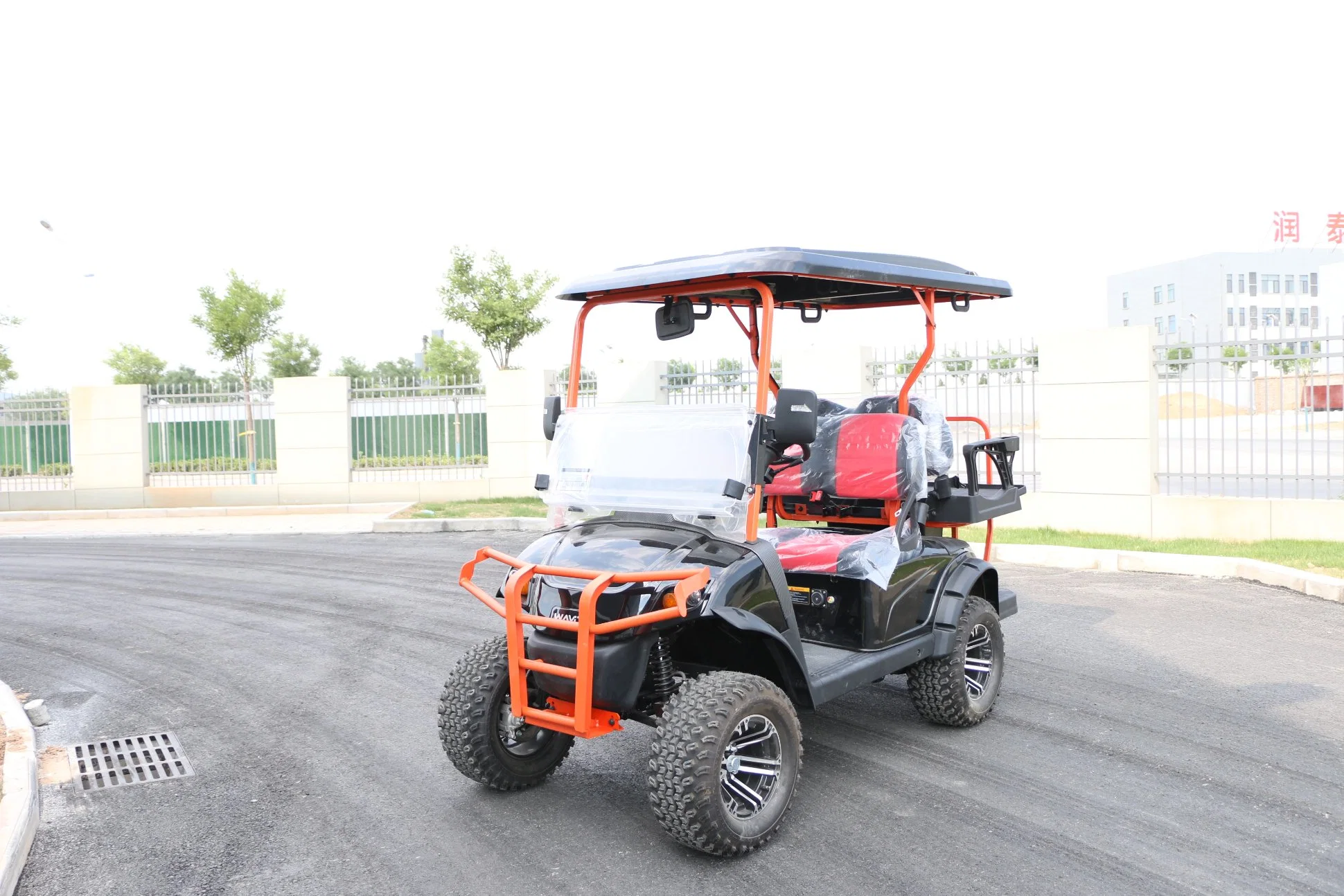 Electric Golf Cart with Lithium Battery Better Than Other Brand